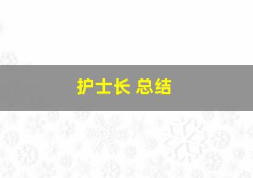 护士长 总结